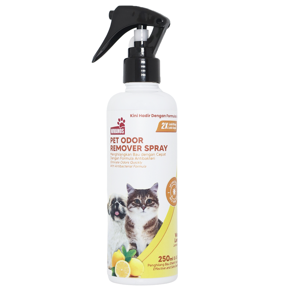 ODOR REMOVER 250 ml